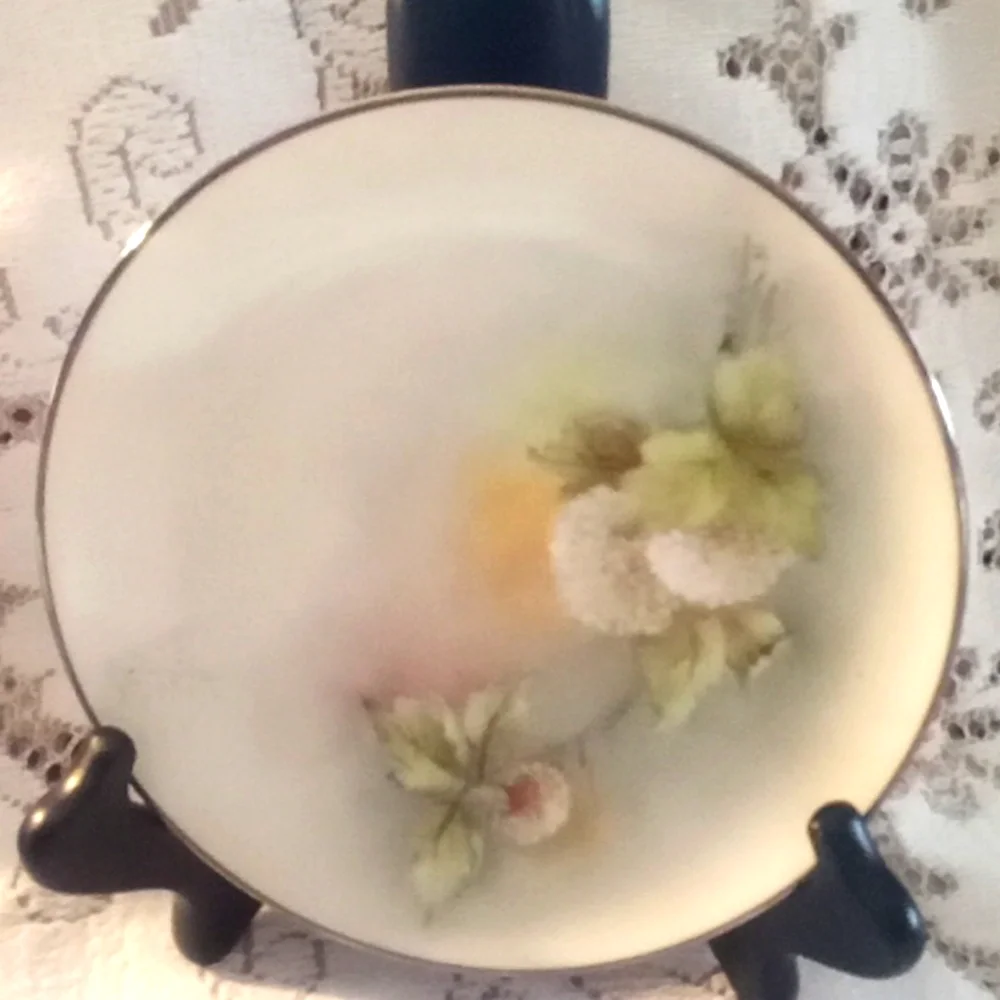 2 Vintage Noritake decorative flower plates